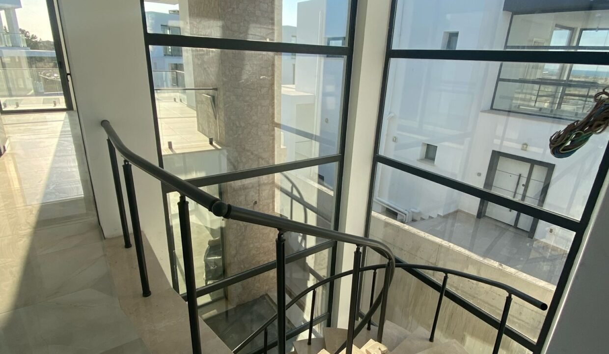 WhatsApp Image 2025-07-08 at 184325