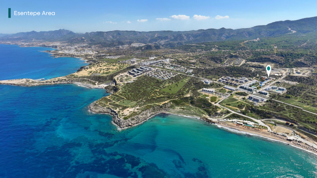 Screenshot 2025-08-08 114203