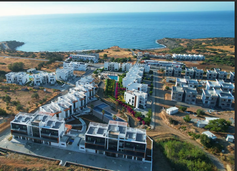 Screenshot 2025-08-08 114235