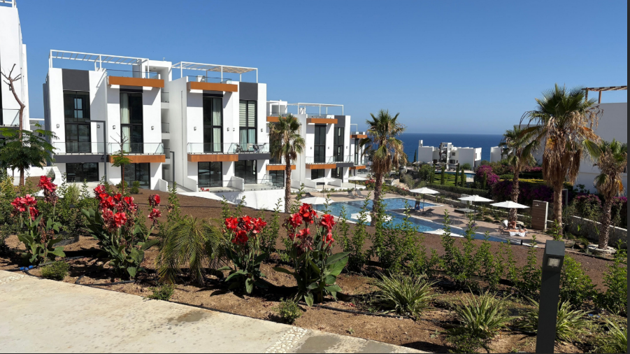 Screenshot 2025-08-08 114302