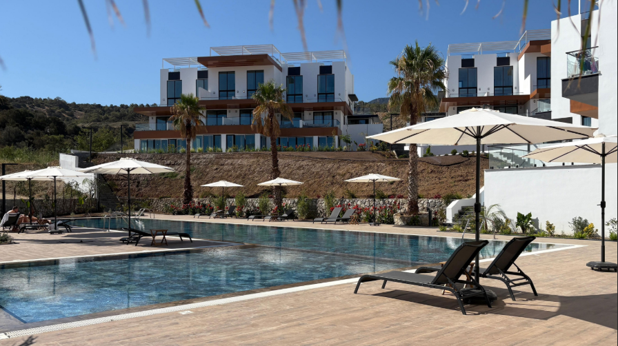 Screenshot 2025-08-08 114312