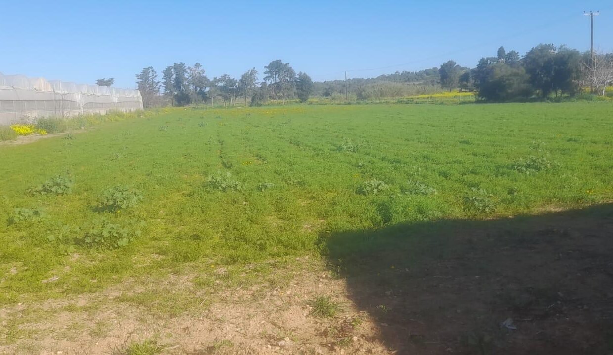 WhatsApp Image 2025-08-04 at 145840