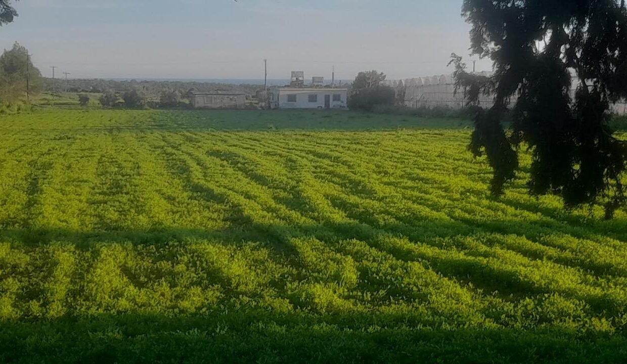 WhatsApp Image 2025-08-04 at 145841