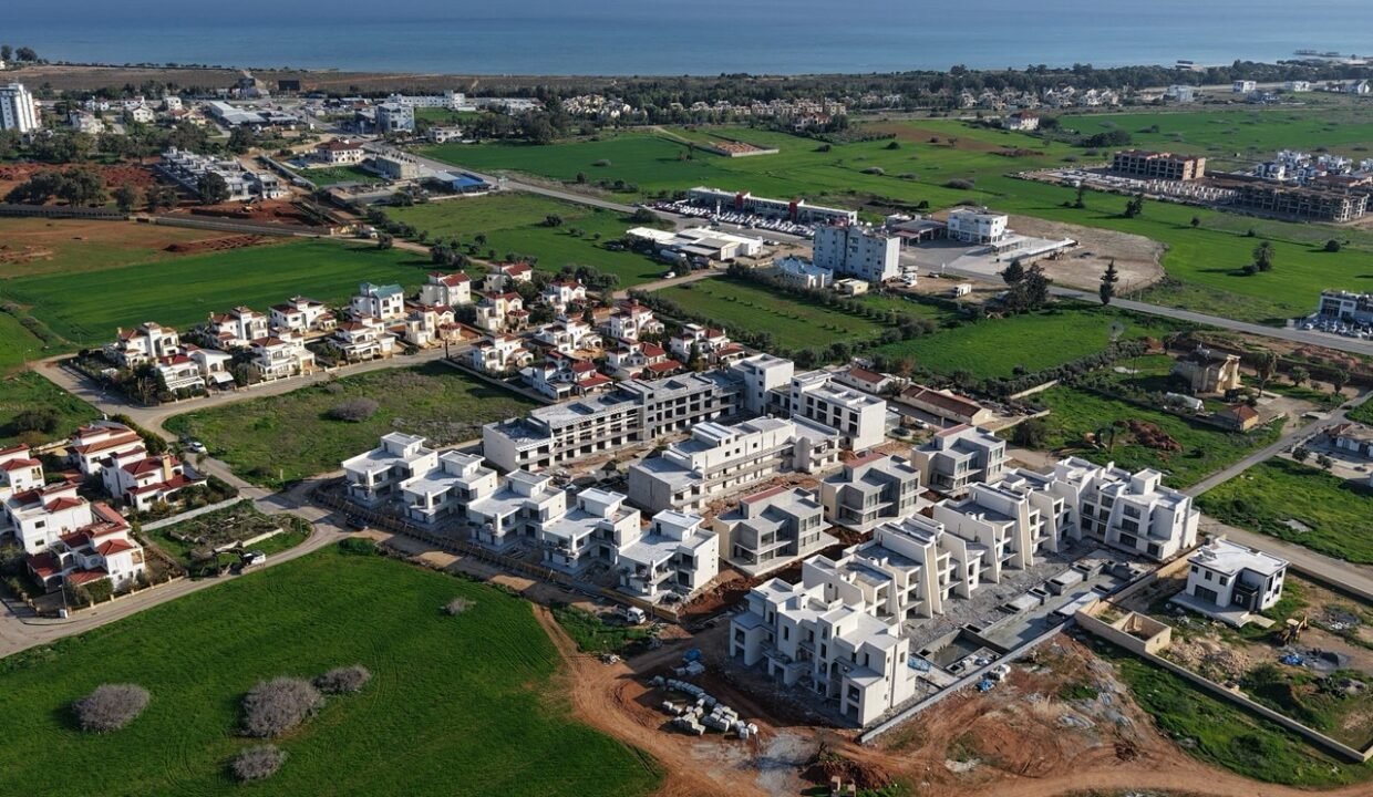 photo_2025-01-22_11-39-43