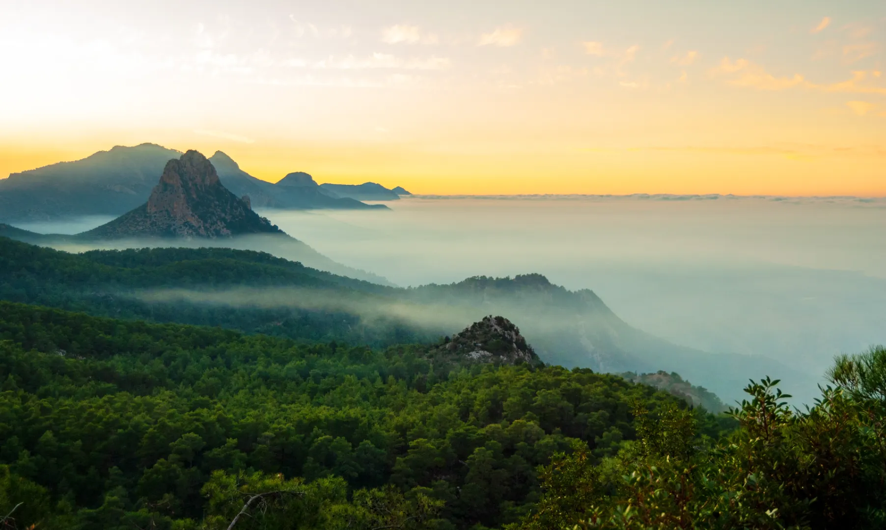 A breathtaking sunset view of the Five Finger Mountains (Pentadaktylos) in North Cyprus. The image shows the iconic sharp mountain peaks rising above a thick, rolling sea of fog and a lush, green pine forest. The sky is a soft gradient of yellow and orange, creating a serene and mystical atmosphere over the Kyrenia mountain range.